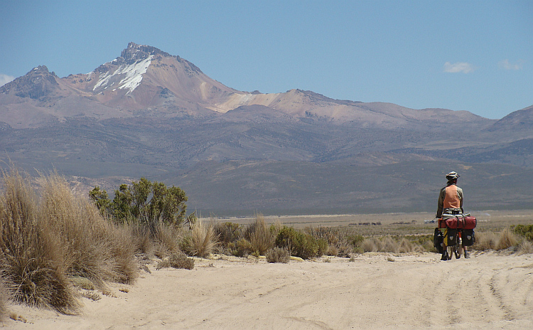 Marten on the route to Sajama