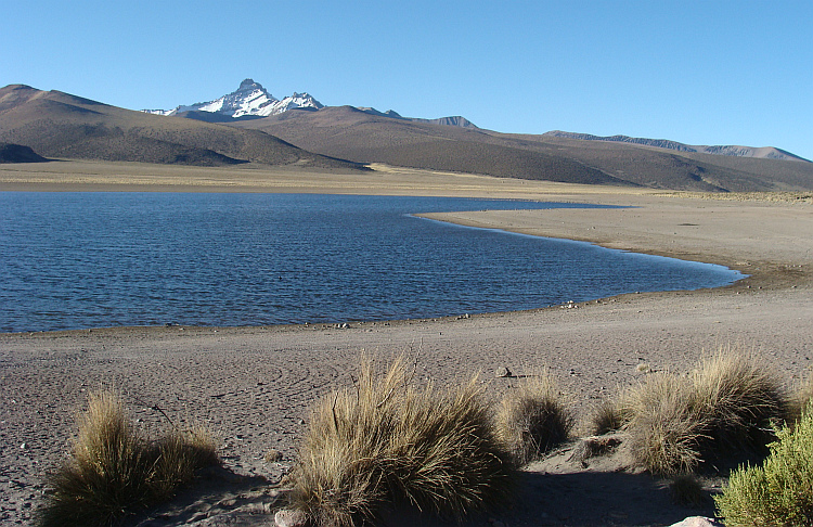 Lake on the Altiplano