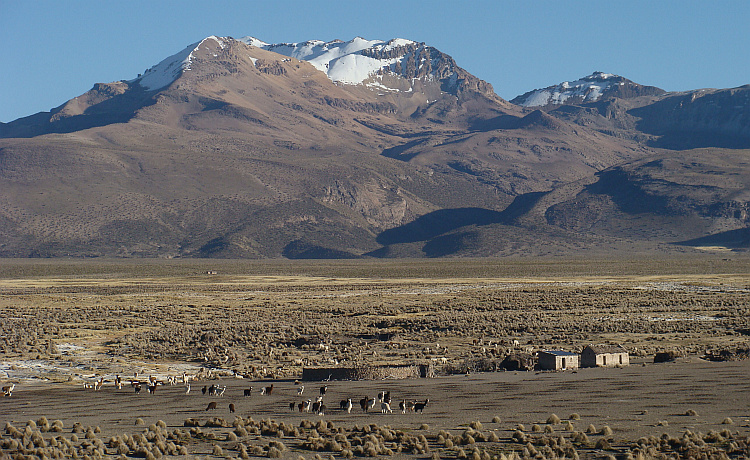 De Altiplano tussen Sajama en de Chileense grens