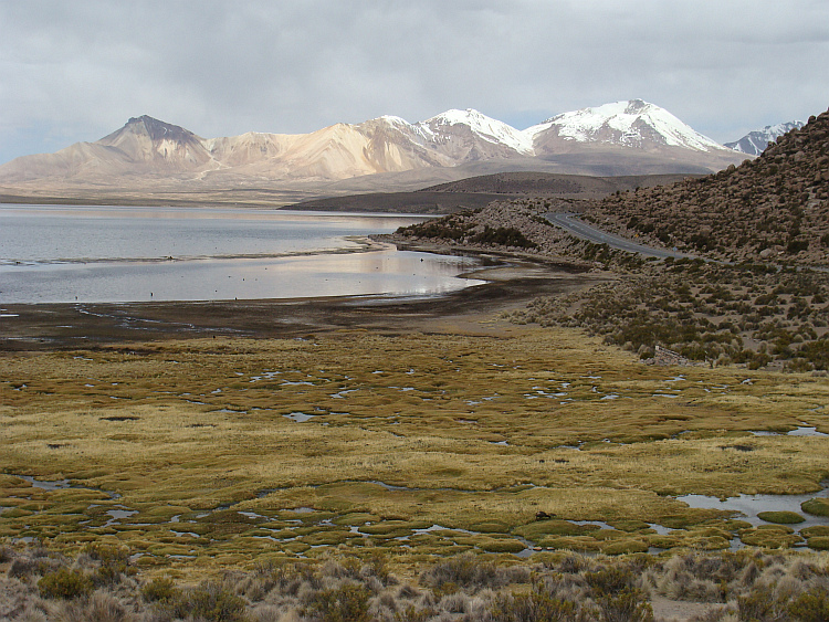 Landschap in het Parque Nacional Lauca