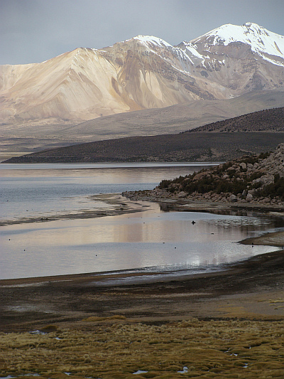 Landschap in het Parque Nacional Lauca, Chili