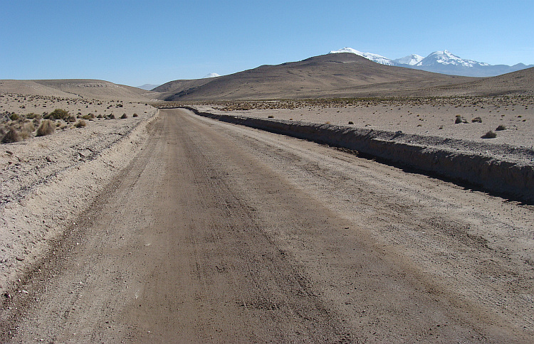 Landschap in het Parque Nacional Vicuñas