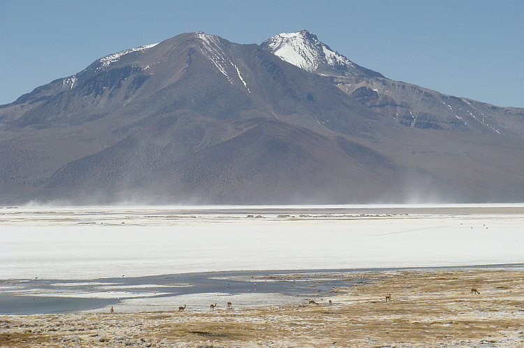 Salar de Surire