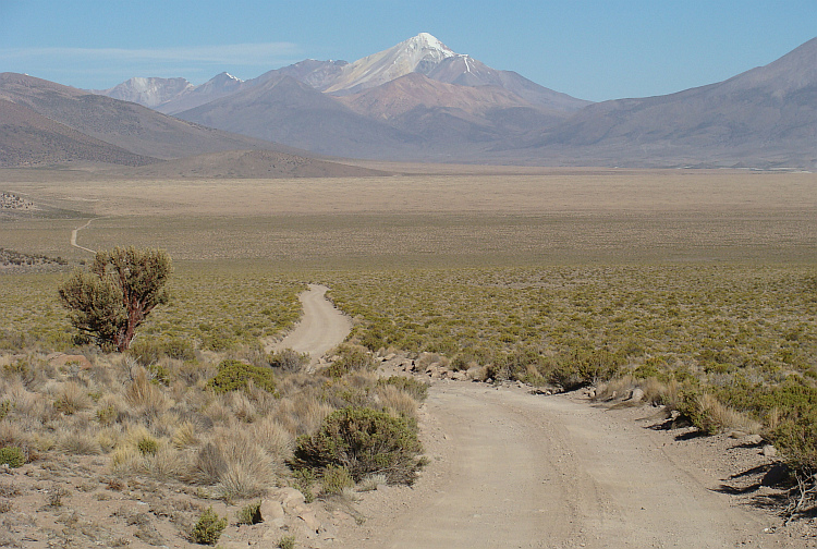 Parque Nacional Vicuñas 