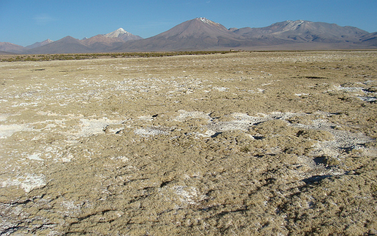 Landschap tussen Guallatire en Isluga