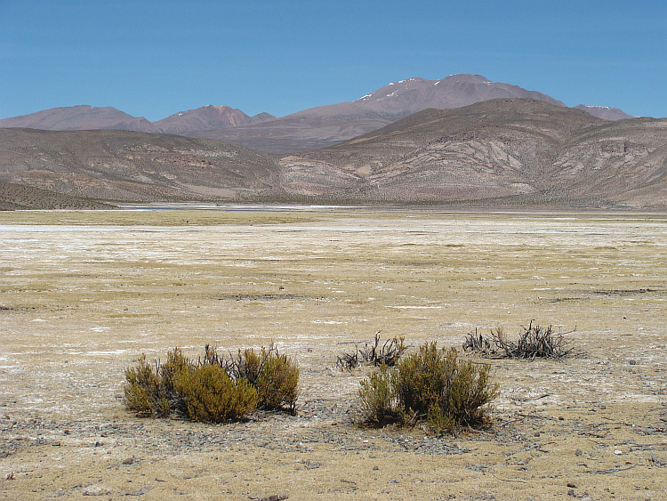 Landschap tussen Guallatire en Isluga