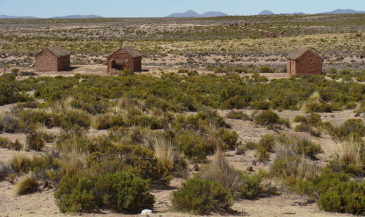 The Bolivian Altipano