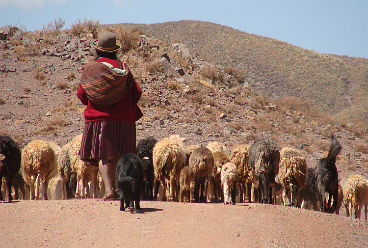 Herderin op de route van Oruro naar Sucre