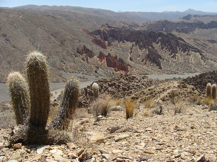 Het wildwestlandschap van Tupiza