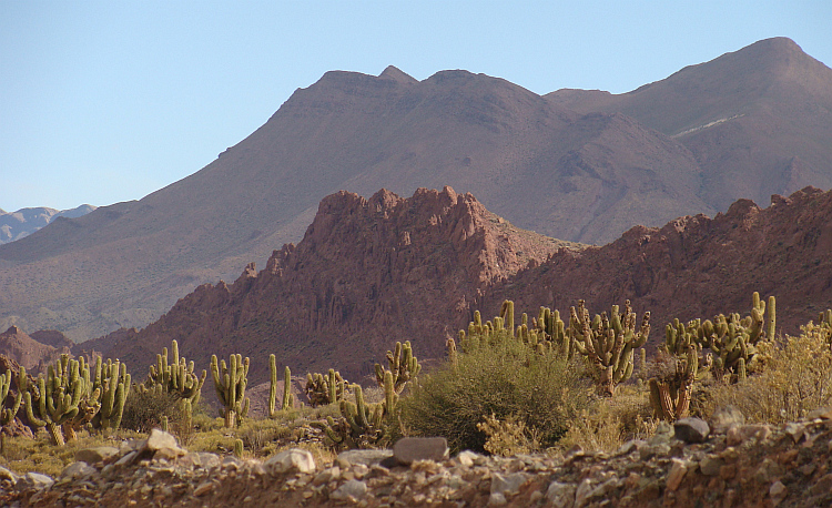 Landschap tussen Potosí en Uyuni