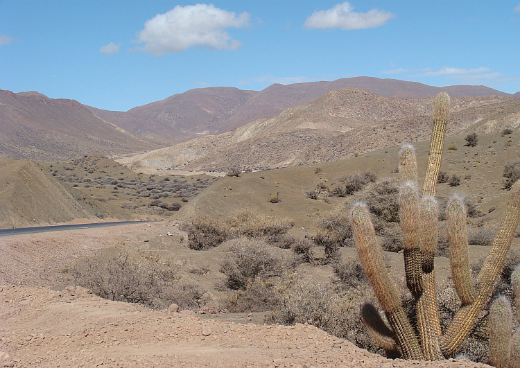 Landschap tussen Potosí en Uyuni