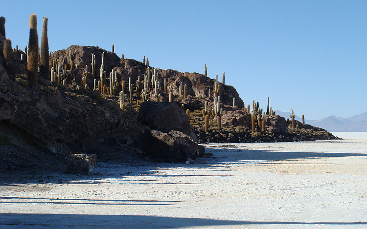 Isla de los Pescadores en de Salar de Uyuni