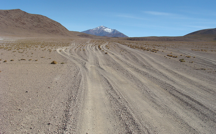 Tussen de Salar en de Laguna's