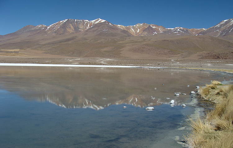 Laguna Cañapa