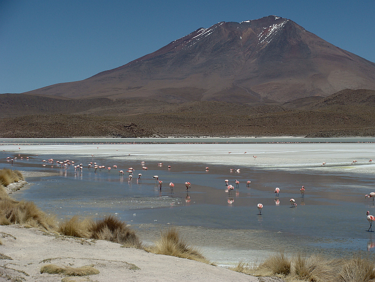 Laguna Hedionda