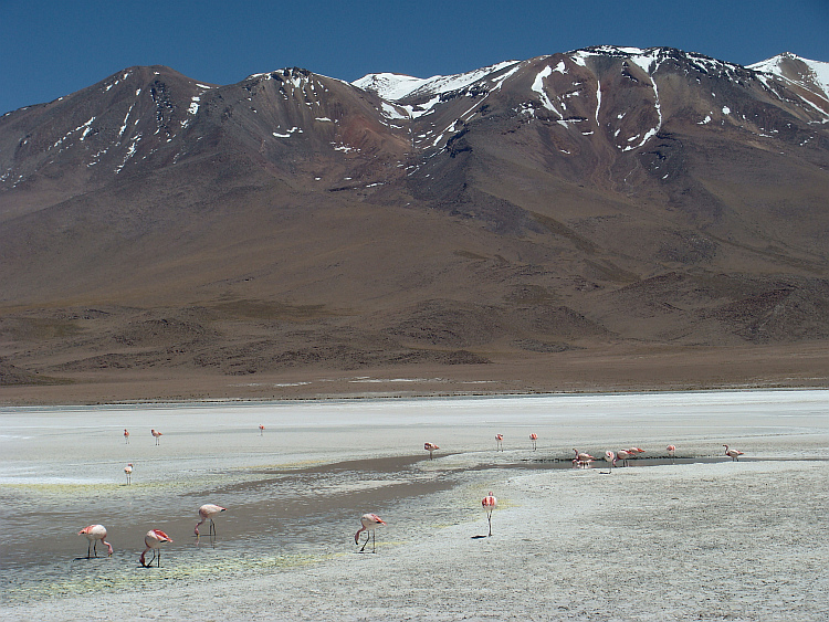 Laguna Hedionda