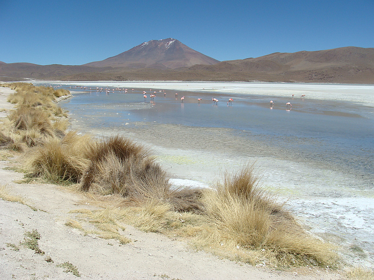 Laguna Hedionda