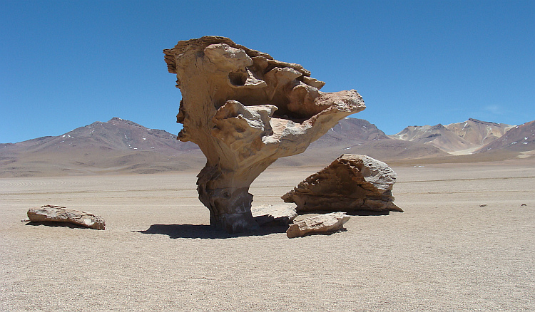 De Árbol de Piedra