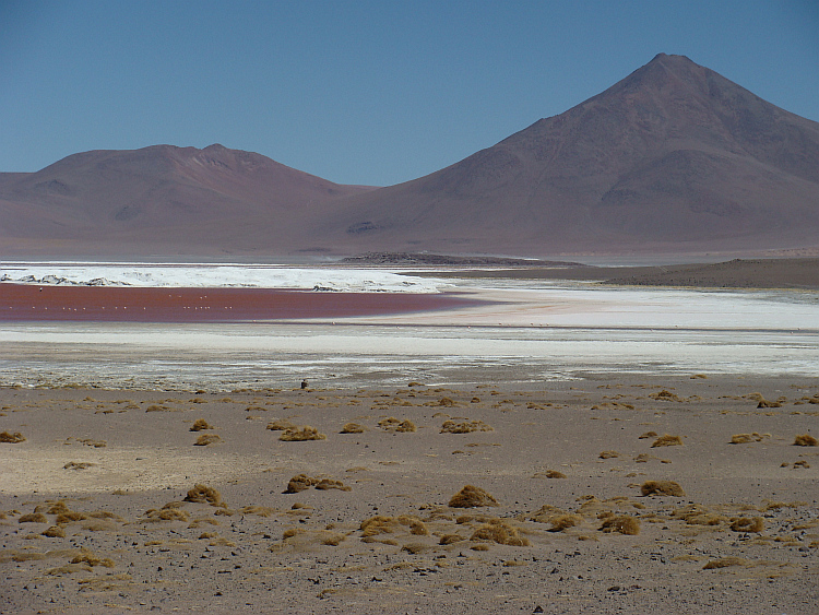 Laguna Colorada