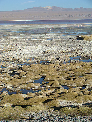 Laguna Colorada