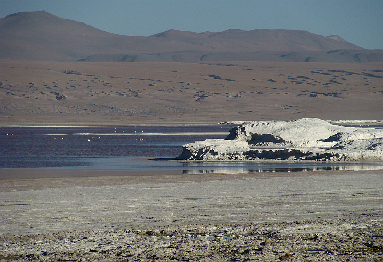 The Laguna Colorada