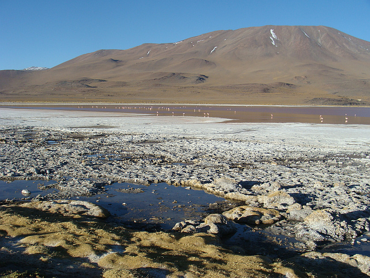 The Laguna Colorada