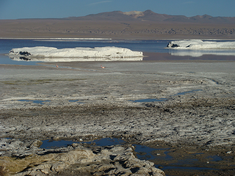 Laguna Colorada