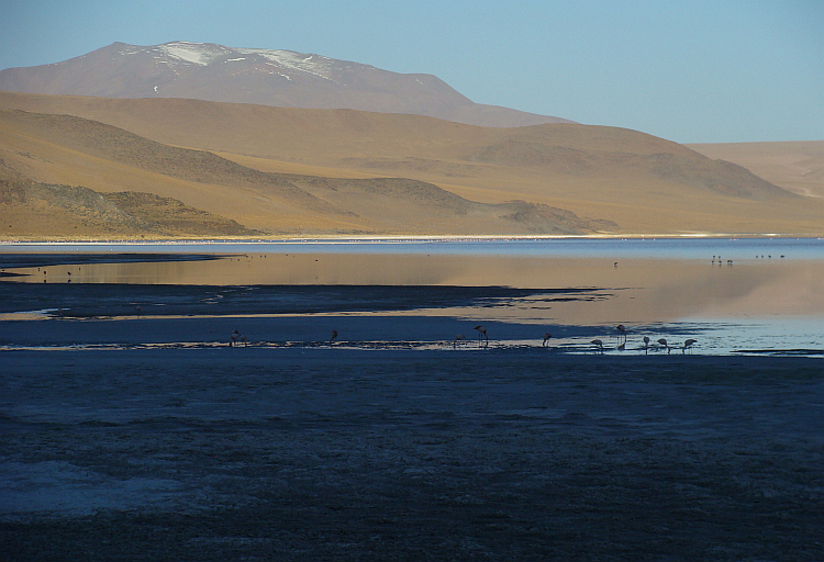 Laguna Colorada