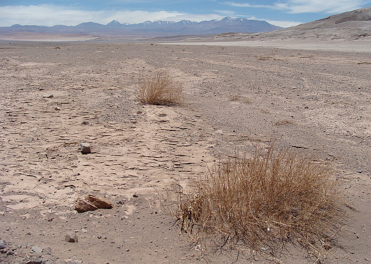 The desert and the high plateau