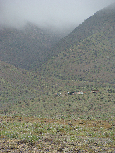 Landscape in the sea mist between Paposo and Taltal