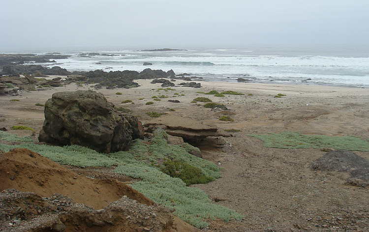 Landscape in the sea mist between Paposo and Taltal