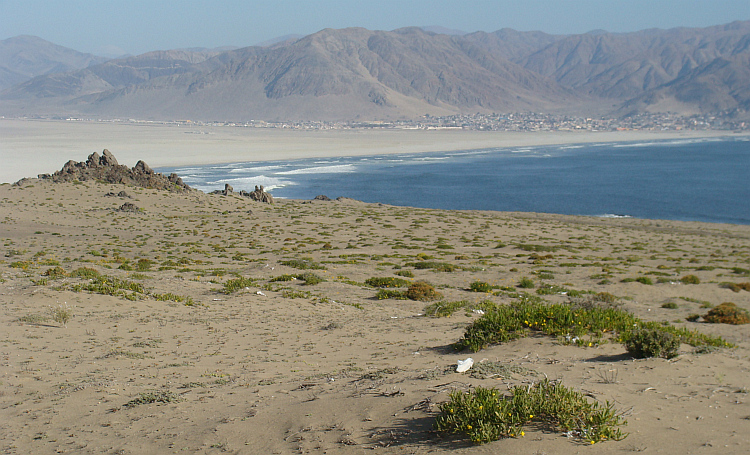 Landscape near Chañaral