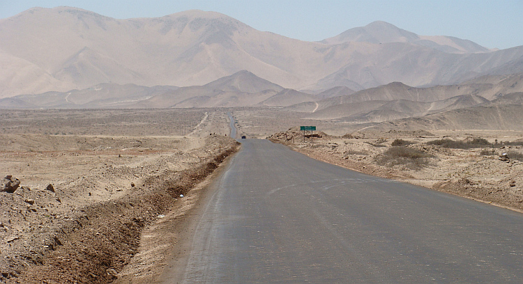 Wild horses near Punta de Choros