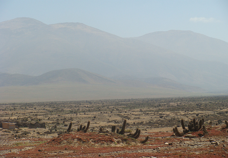 Landscape near Punta de Choros