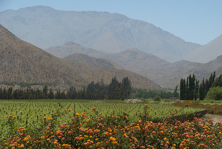 De Valle de Elqui