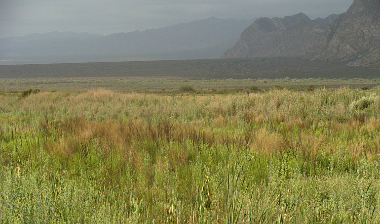 On the Ruta 40 between San José de Jachál and San Juan