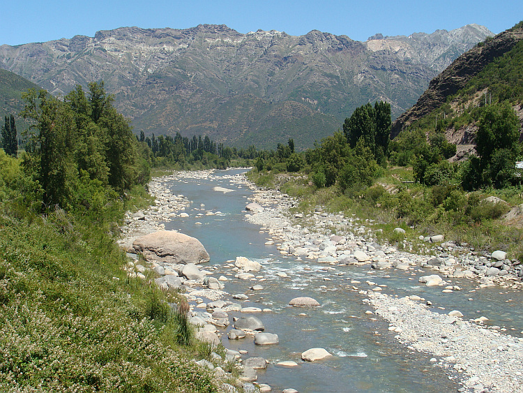 On the way to the Paso de Pehuenche