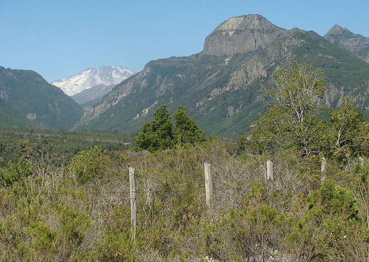 On the way to the Paso de Pehuenche