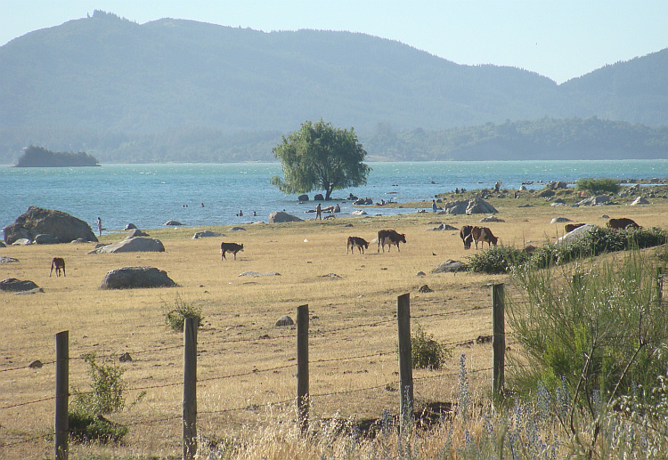 Lago Colbún