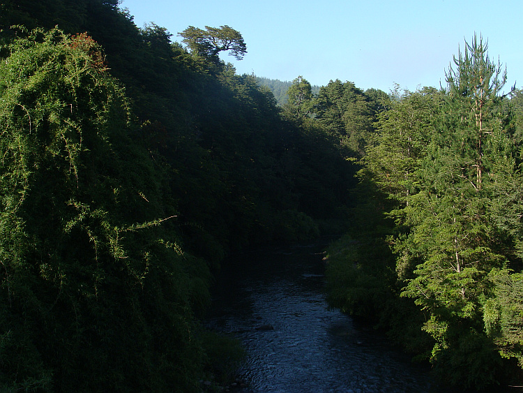 Landscape near Curacautín