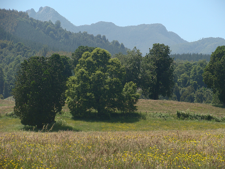 Landschap tussen Melipeuco en Villarica