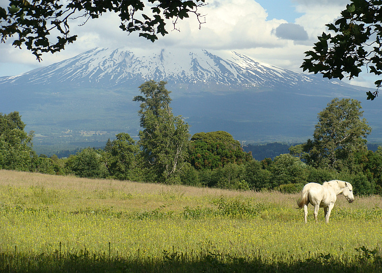 De Vulkaan Villarica