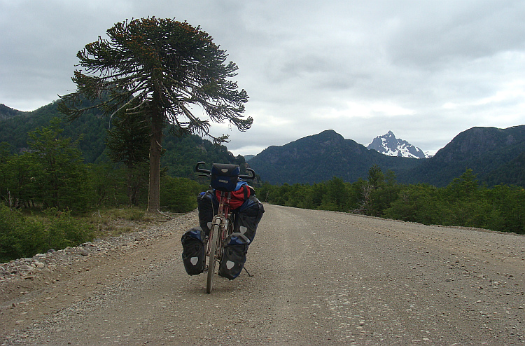 On the way to Junín de los Andes