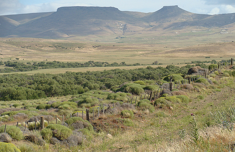 Landscape near Junín de los Andes