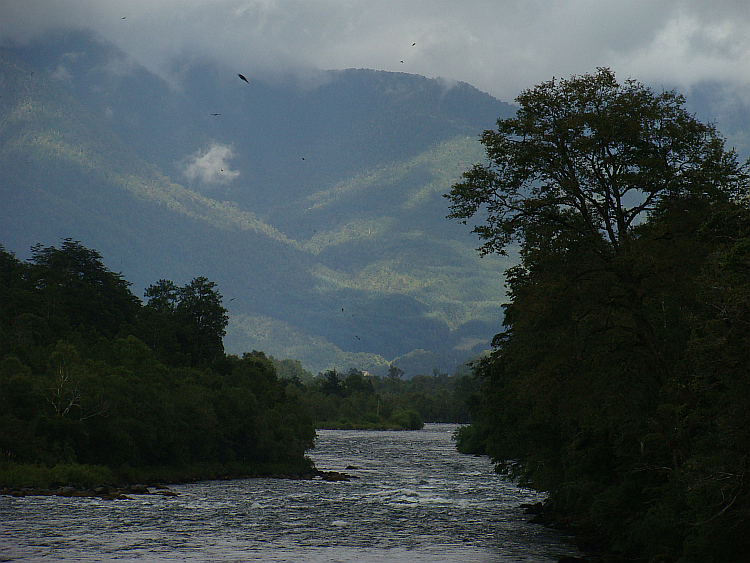 Between Puerto Fuy and Panguipulli