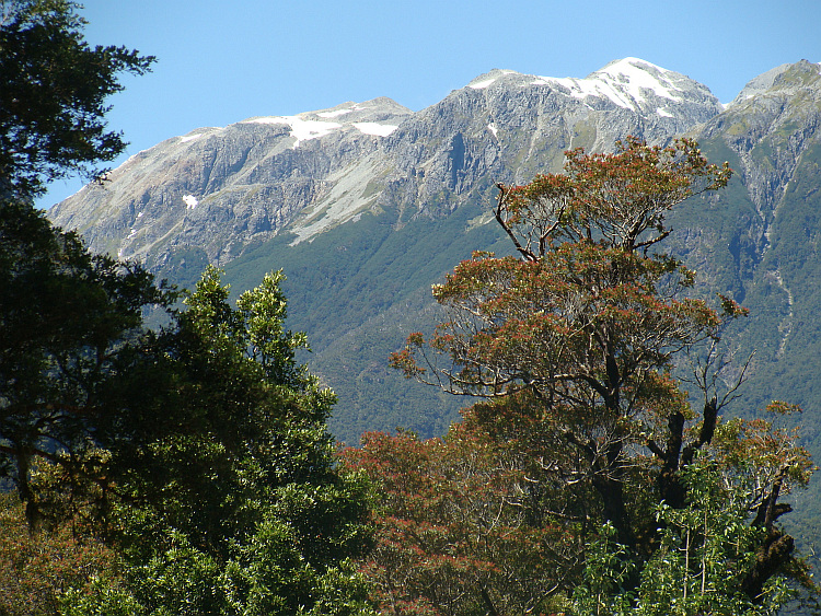 Parque Nacional Queulat