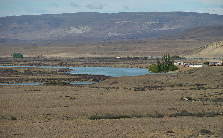 Hacienda near Lago Argentino