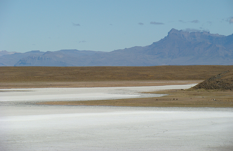 Salar in de pampa's