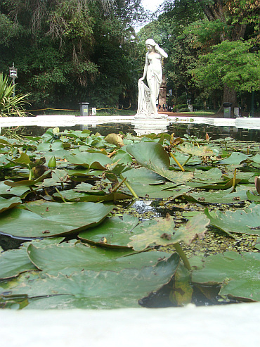 Park in Buenos Aires