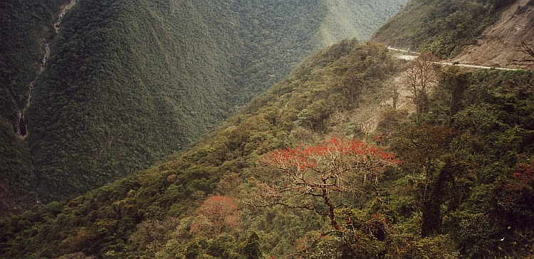 The lower part of the Death Road